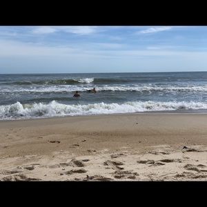 Meet your Posher, Cassandra